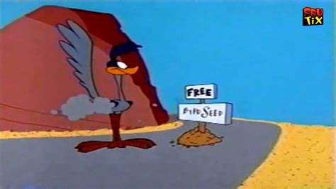 road runner cartoon youtube